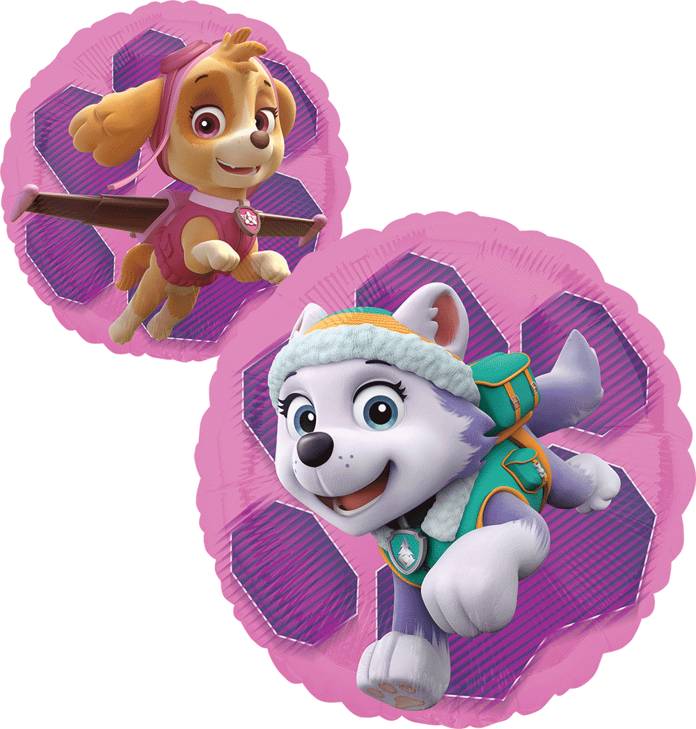 Paw Patrol Skye & Everest