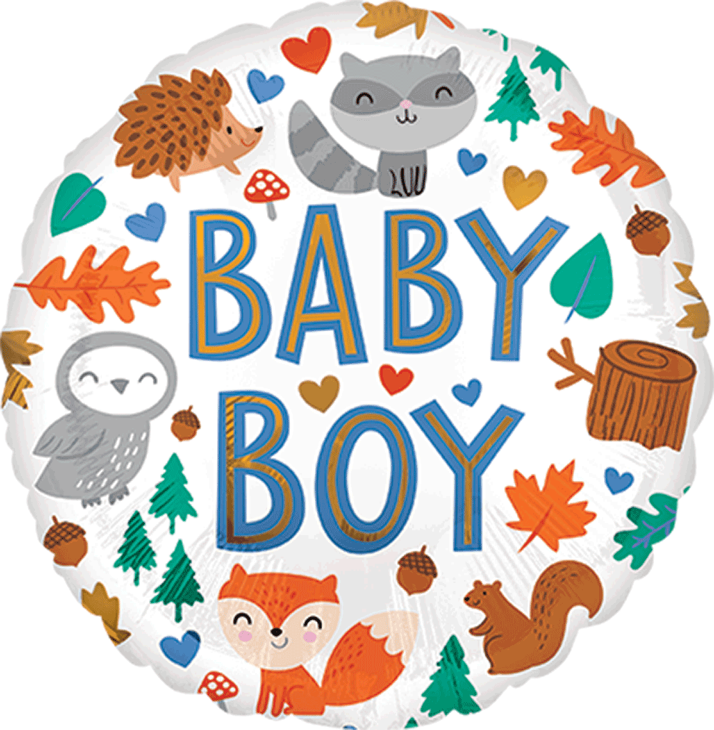 Baby Boy Woodland Fun