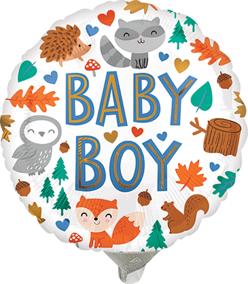 Baby Boy Woodland Fun