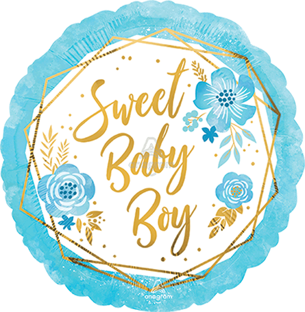 Baby Boy Floral Geo