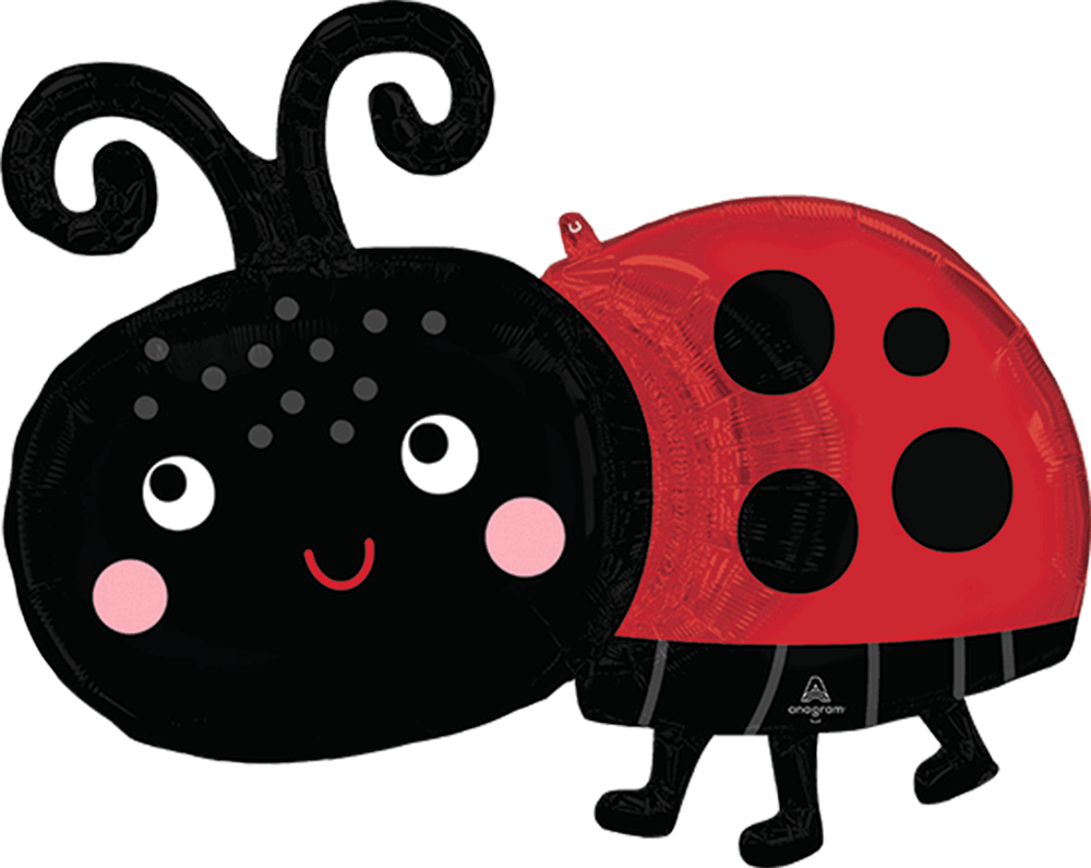 Happy Ladybug