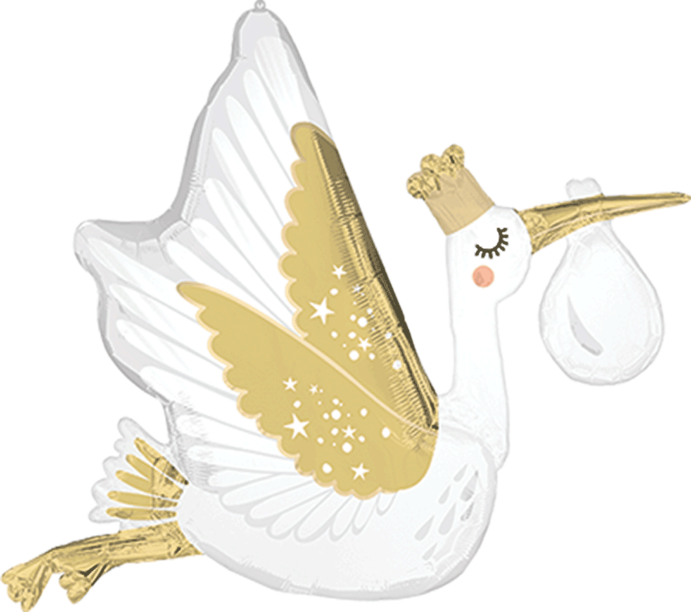 Satin Special Delivery Baby