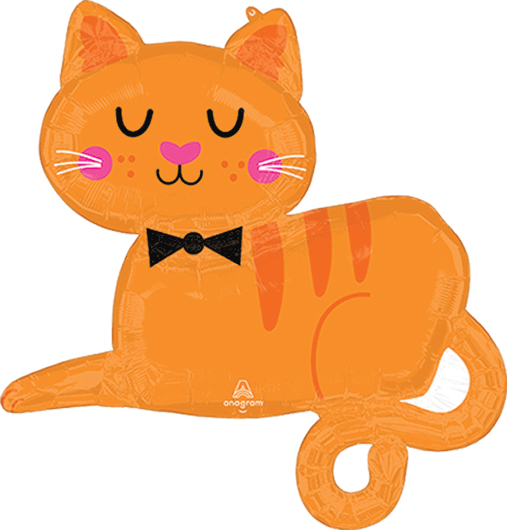 Orange Tabby Cat
