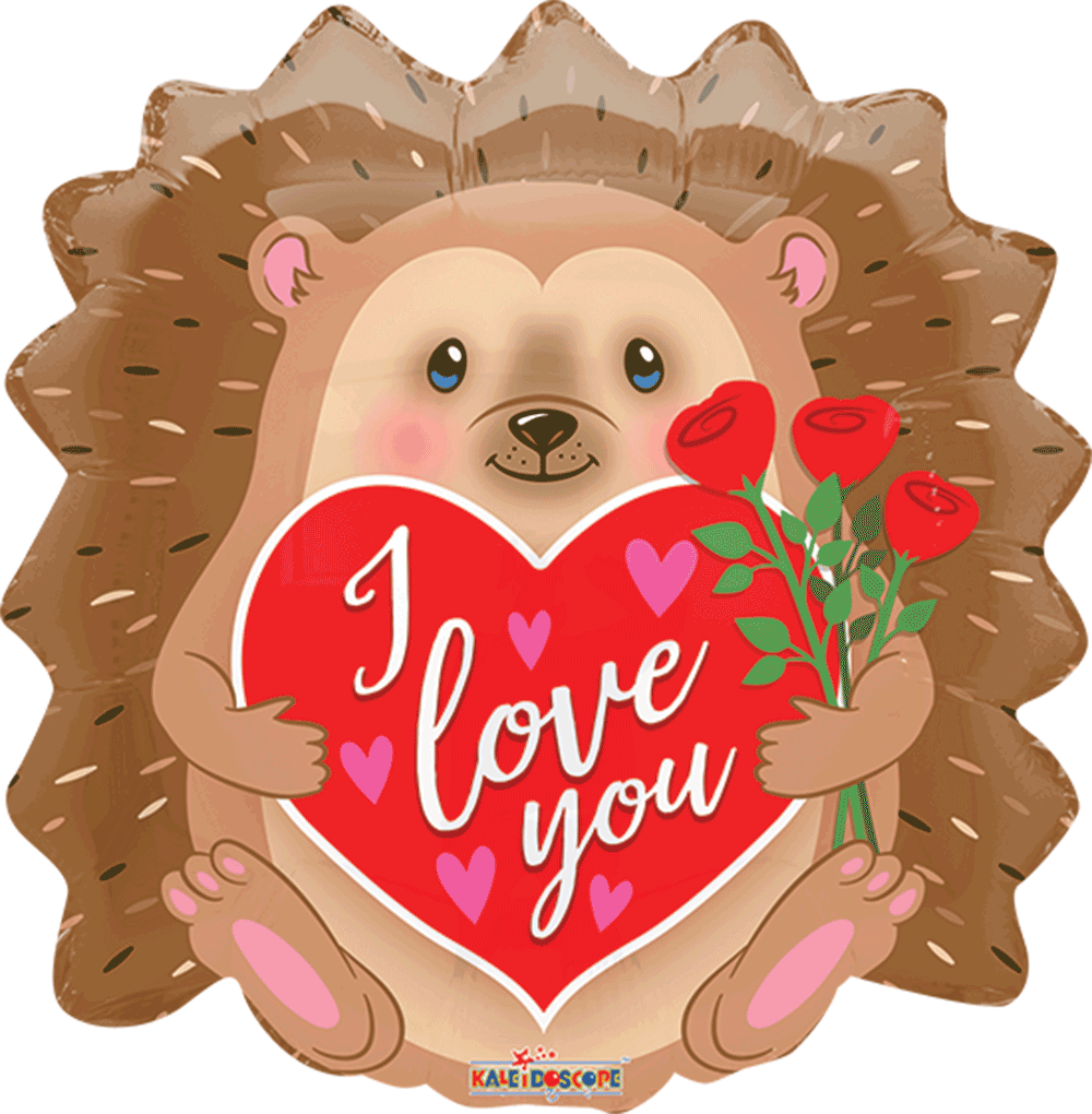 Hedgehog Love