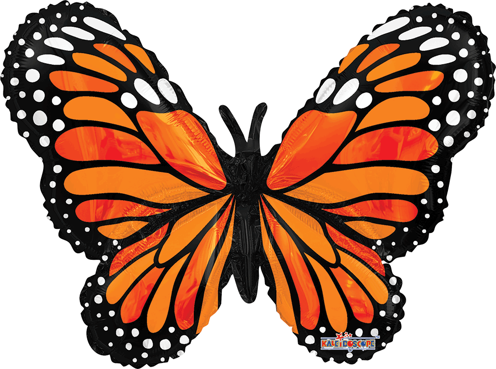 Orange Butterfly